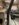 3D7AB0CA-7A2A-4182-96B8-A52405B929D5.jpeg