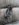 20190214_073829.jpg