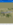 Screenshot_2019-02-06-15-58-07.png