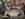 2999E6EC-612C-455C-89BD-C7F851D6C447.jpeg