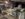 78686B26-AA62-41AB-998B-7E2983869071.jpeg