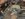 C37B3C2D-7B14-4FE3-944D-C25CC83ECA52.jpeg