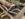 7030F462-F17C-4DA8-8A9C-7C1FB679DAF3.jpeg