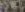 20190217_142210.jpg