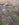 8A62CAAE-9F7A-47D2-86E2-52BD37FEBDCE.jpeg