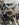 44400C4E-3433-428E-88E5-E6643D15A145.jpeg