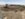 DF602D56-7164-4EDA-90EB-4370CAEDD311.jpeg