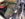 4DC9DAD0-74EE-43E4-ABC5-7DABACD02D8C.jpeg