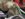 5C9BE3DB-1C6F-4879-AFB2-B8E4122ACD98.jpeg