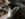 A8842B84-11F6-4E53-918A-212CAAC57D89.jpeg