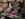 8FCB9443-8087-4D2C-AC79-50846742DB74.jpeg