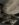 upload_2019-2-24_12-14-16.jpeg