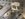 73C0C363-C221-4DD5-B5BF-2CA0E10A48F0.jpeg