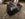 31254429-DDF8-4440-9BDA-69576B8ABC0A.jpeg