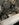 upload_2019-2-25_14-50-12.jpeg