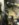 A2C79FB6-176A-4931-8987-2035E54A282A.jpeg