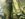 45B0FA15-0C9D-4FBE-A5B1-74DAD3CCA5BC.jpeg