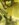 2F529487-6BA8-4F2D-874B-965841DA967A.jpeg