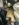 19DC2666-18B3-45E7-987B-07932CED5EF4.jpeg