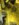 4BD49094-6B91-4224-89B5-A9DE56396A20.jpeg
