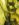 AA0E0EC4-08CE-4974-BF91-F8D20E1E252E.jpeg