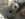 E97302DC-8465-40C0-ABF9-C9305829952E.jpeg