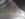 0226191751c.jpg