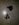 20190225_194510.jpg