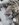 20190226_173135.jpg