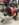 F3A07698-5C75-429C-924E-984C5FE35161.jpeg