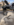 1B9E4153-AD42-44EA-BD94-1187B7201E76.png
