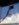 20190216_112236.jpg