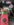 IMG_20190228_172656.jpg