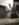 85543AEB-86DD-4005-97F9-12ABDC1B0CF2.jpeg