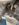 EB36AD99-37E6-4C2F-951E-450A76B8C4EA.jpeg