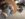 891FF2BF-7657-45A5-9D1B-A0225F730B33.jpeg