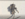 A727055C-3A6A-4827-98F7-395842D9216D.png