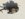5E3DEDB1-25B2-4F8E-AB65-95BA92DC6D9E.jpeg