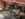 F0CBA5FF-3CE4-4642-A115-59DDE3EAE935.jpeg