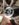 722093E7-DC39-464D-AD4B-DB46BD2F301E.jpeg