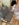 4979D142-7552-4A64-AE91-1CAFF6051EFC.jpeg