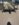 422743E2-99BC-4F9C-B82A-77260A957922.jpeg