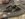 DB86ECD3-6BCE-49B5-BF01-968F2C87E5C7.jpeg