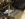E4A78053-B1F2-4774-B7C5-DA54D28274F1.jpeg