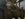 BD261189-1E2D-44C0-BFEE-B59AFDA67A02.jpeg