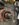 BA628A8A-D32B-4C55-8327-4EAEE7969C01.jpeg