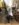 1B9DB9D0-0D54-4E19-B8C1-A462FCEDBBE2.jpeg