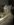 A514913B-48A9-4B8F-93E5-65F0823F23B3.jpeg