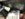 816C1520-61F2-4E7B-AB4A-70BB2B7F49EA.jpeg