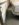 068F709B-70A1-426D-9C57-45D136D7975A.jpeg